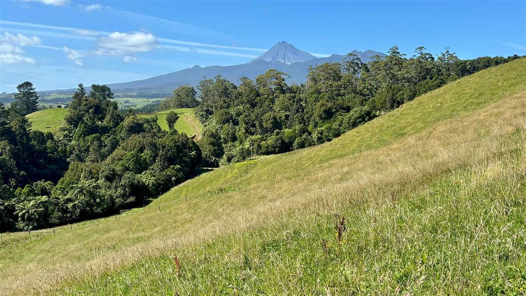 View of Taranaki Maunga on the Davies Track. 