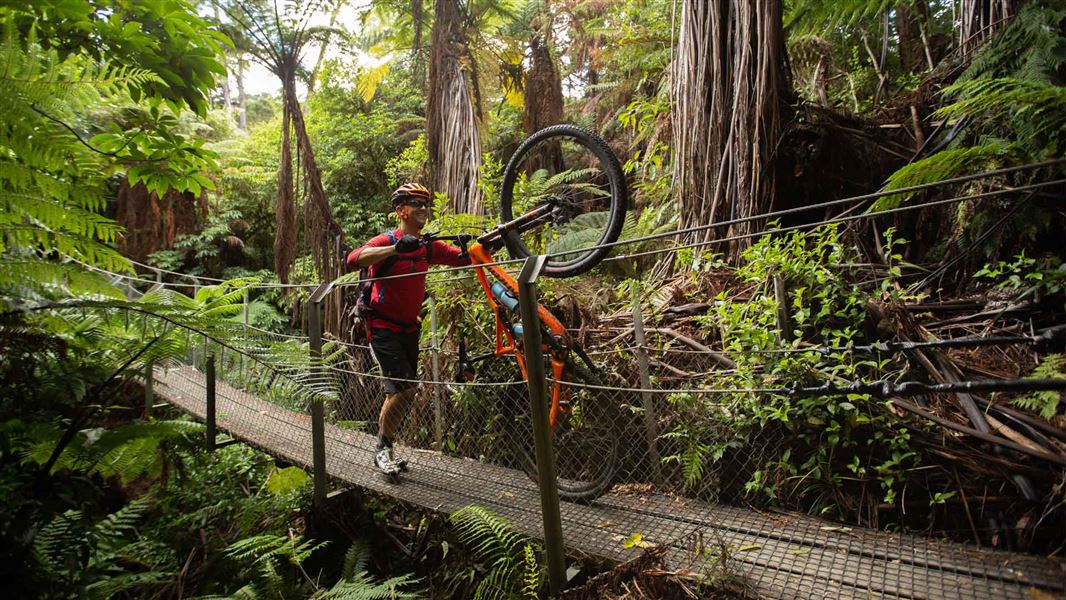 Mountain biker walks with bike over a bridge structure with bosh behind. 