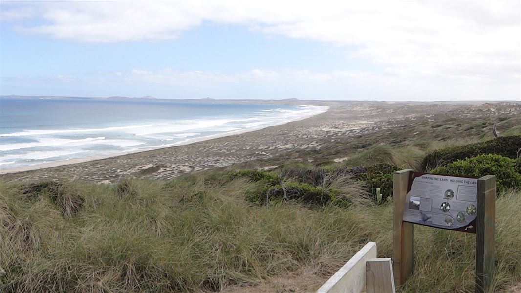 Henga Scenic Reserve Places to go on the Chatham Islands