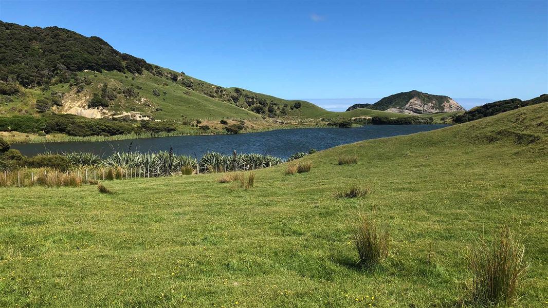 A small lake nestled in amongst grassy farmland.