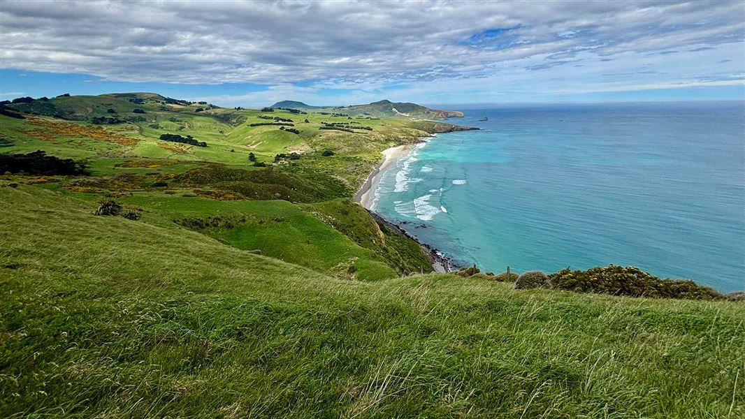 View from Highcliff Track.  