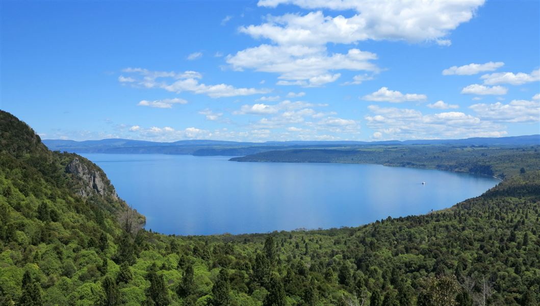 Kawakawa Bay tracks Taupō area, Central North Island