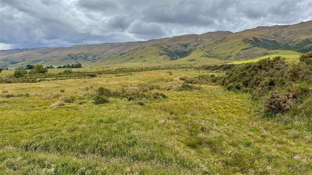 View from Last Creek Track. 