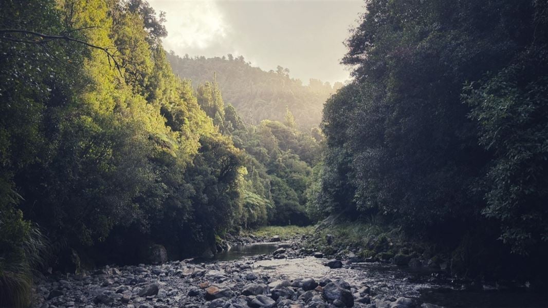 A small stream running over a rocky outcrop surrounded by a misty green forest. 