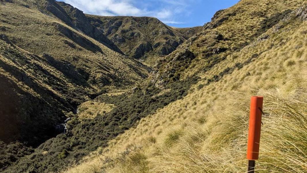 View of a tussock covered gorge, with a track maker pole in the foreground.