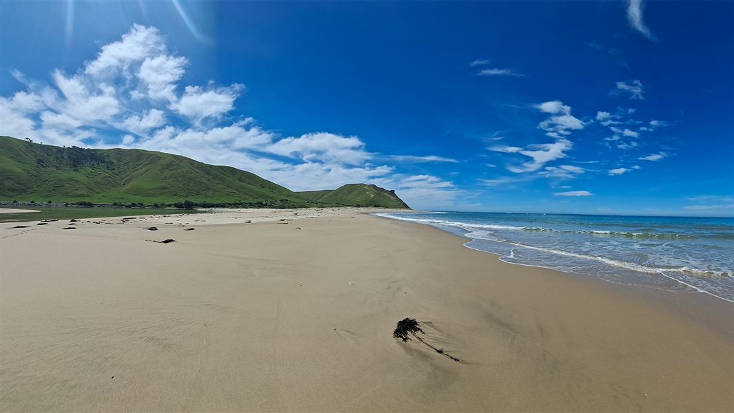 A beachscape with flat wet sand and green hills to the left and gentle ocean water to the right. 