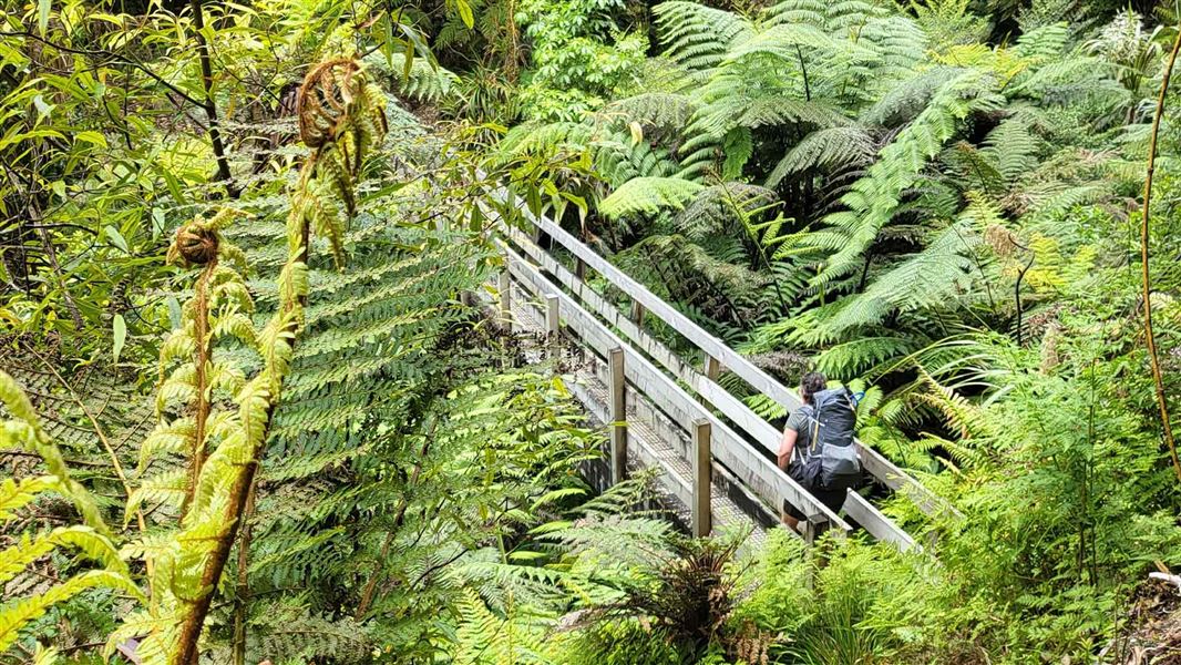 Person walking across a bridge on the Waipapa Track to Waitawheta Hut. 