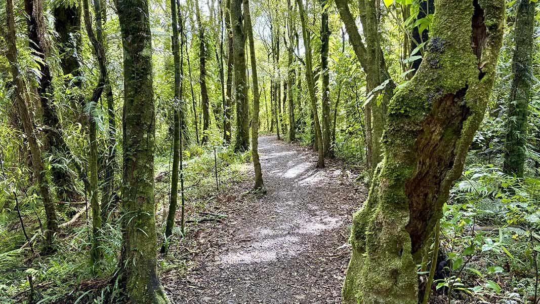 Ballance Loop Track. 