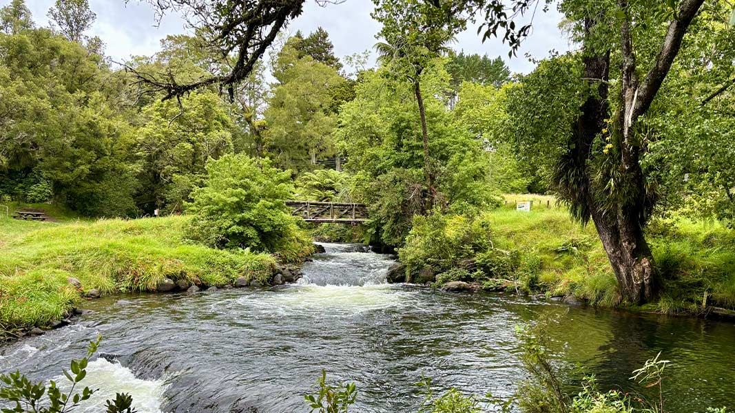 Meeting of the Waters Scenic Reserve. 