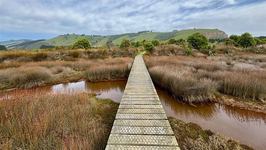Aramoana Boardwalk. 