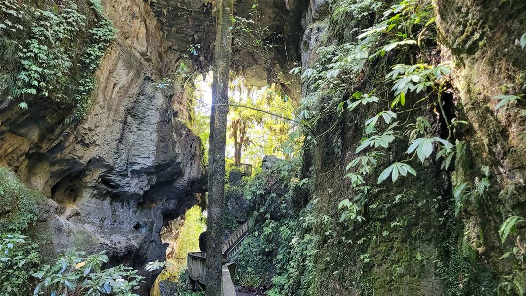 Mangapohue Natural Bridge Walk closed due to erosion risk Media