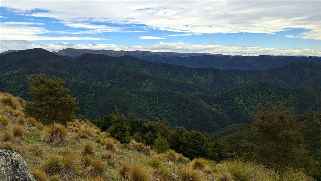 View over a series of foliage covered hills one behind the other. 
