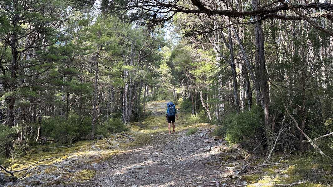 Person walking on Goulter Track