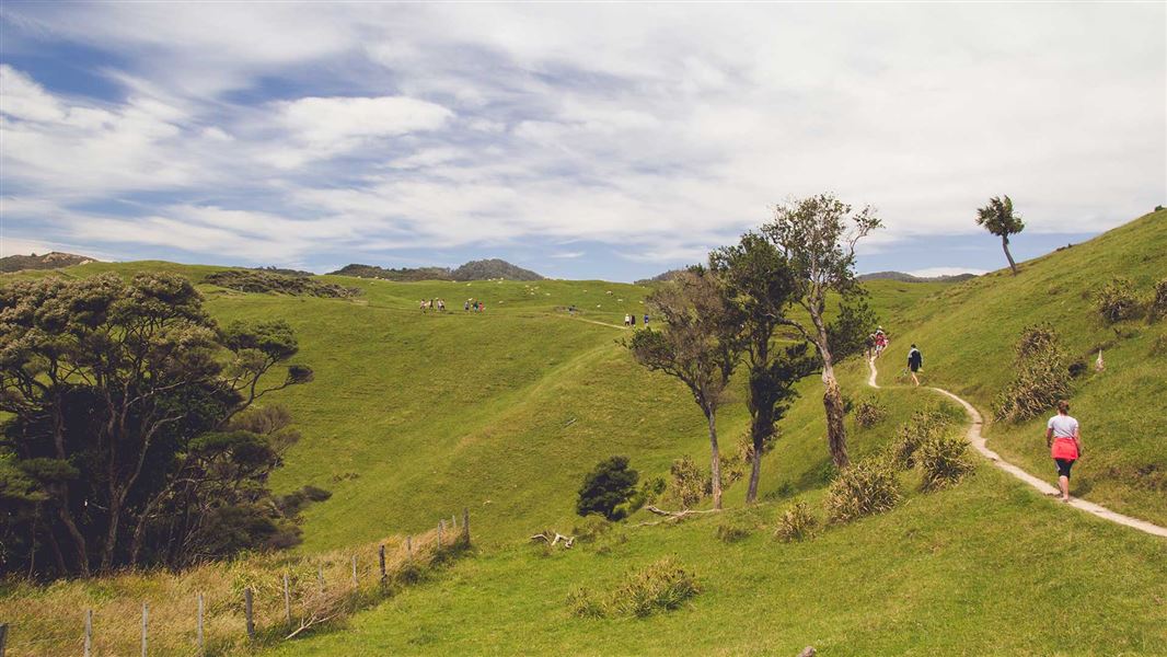 Day walkers on a track that snakes through green hills.