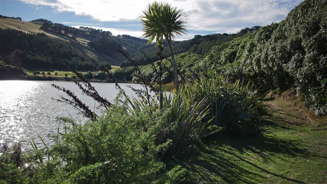 Tomahawk Lagoon Walk Otago Peninsula area, Otago region