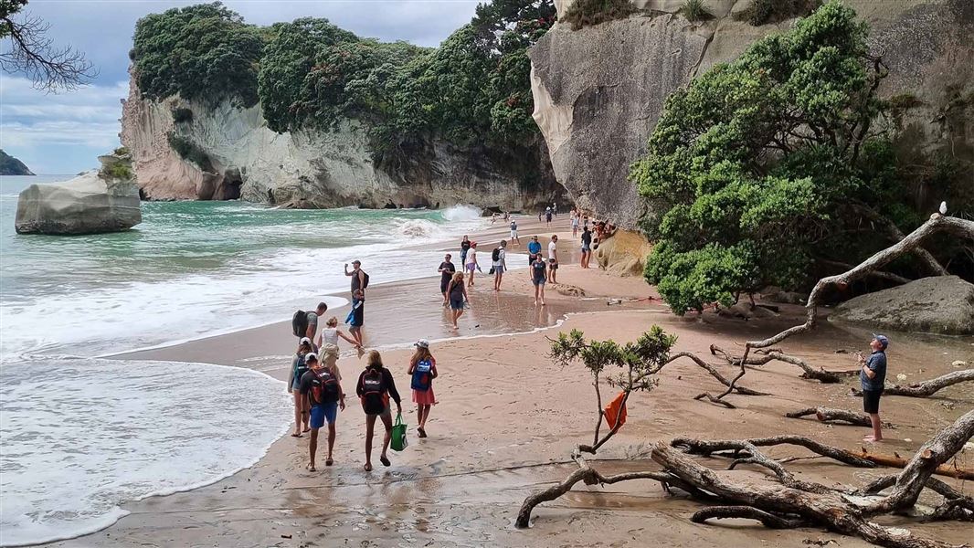 Busy Cathedral Cove full of people. 