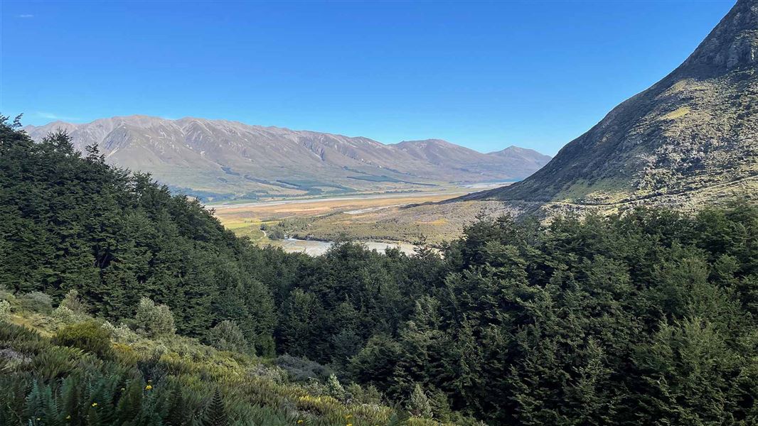 South view from the temple viewpoint track