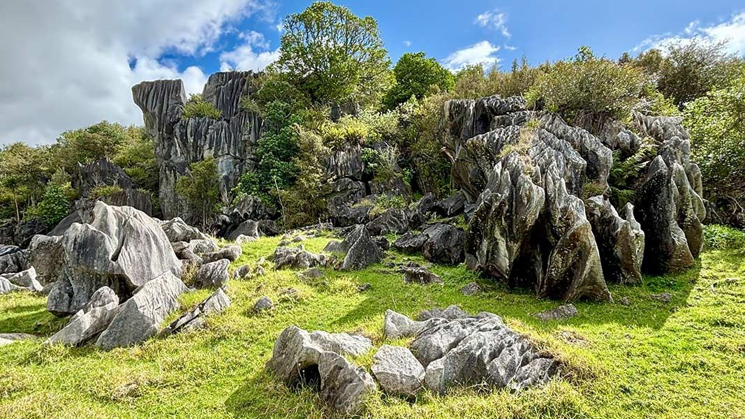 Limestone formations at Waro Limestone Scenic Reserve. 