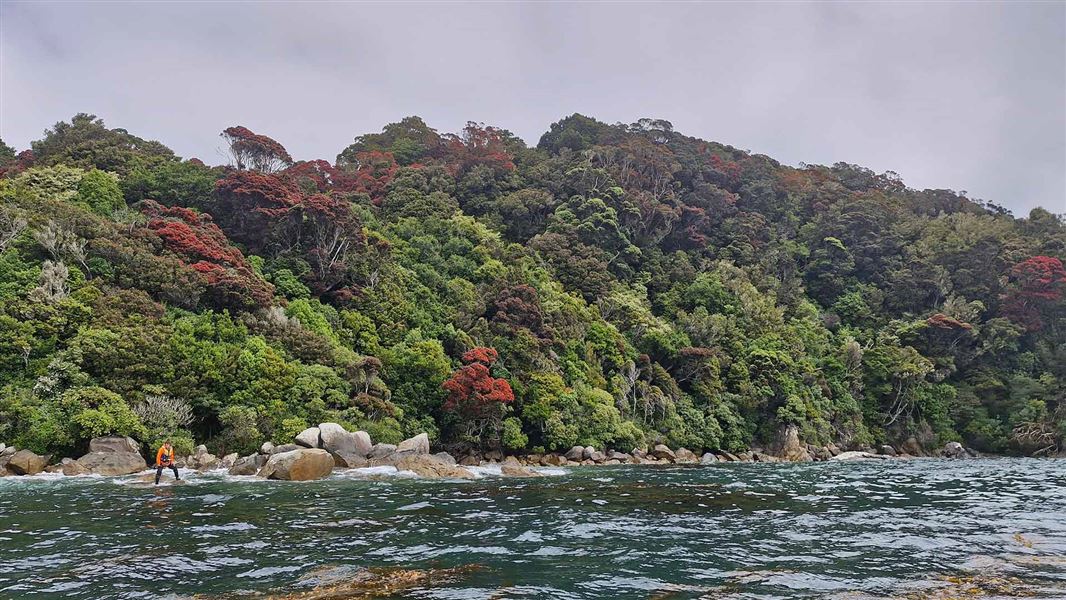 View of an island covered with vegetation from the sea. 