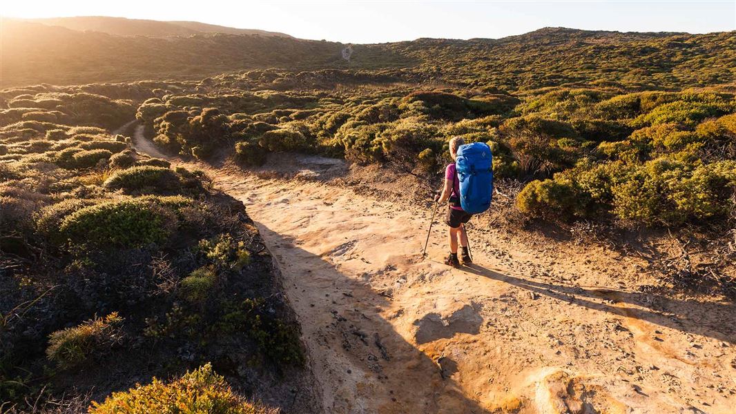 A solo hiker walks on a sandy path through coastal scrub.