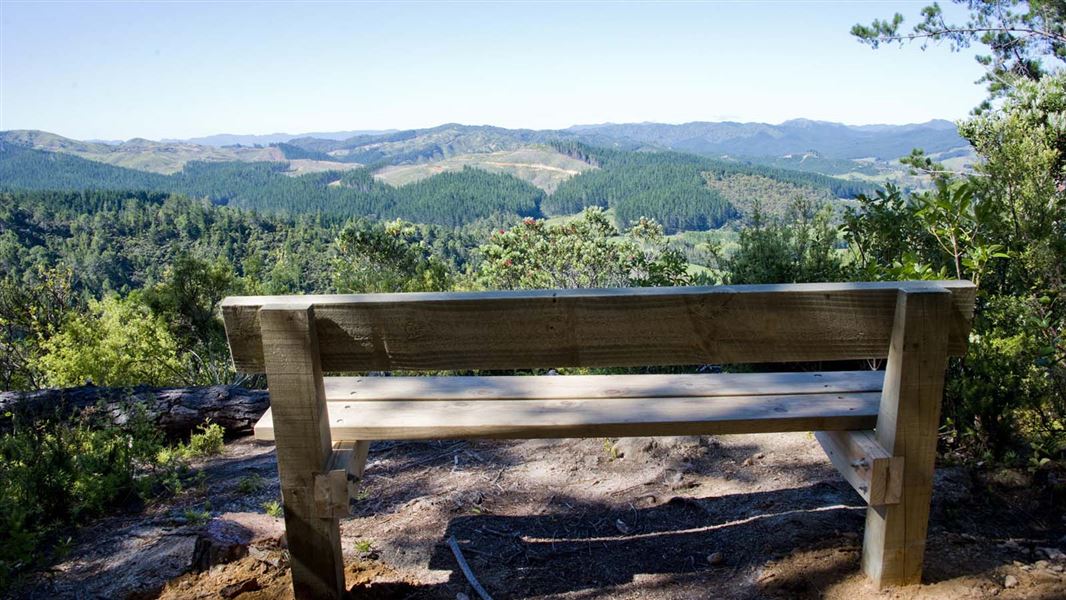 Wooden seat and view from Rings Beach Loop Track