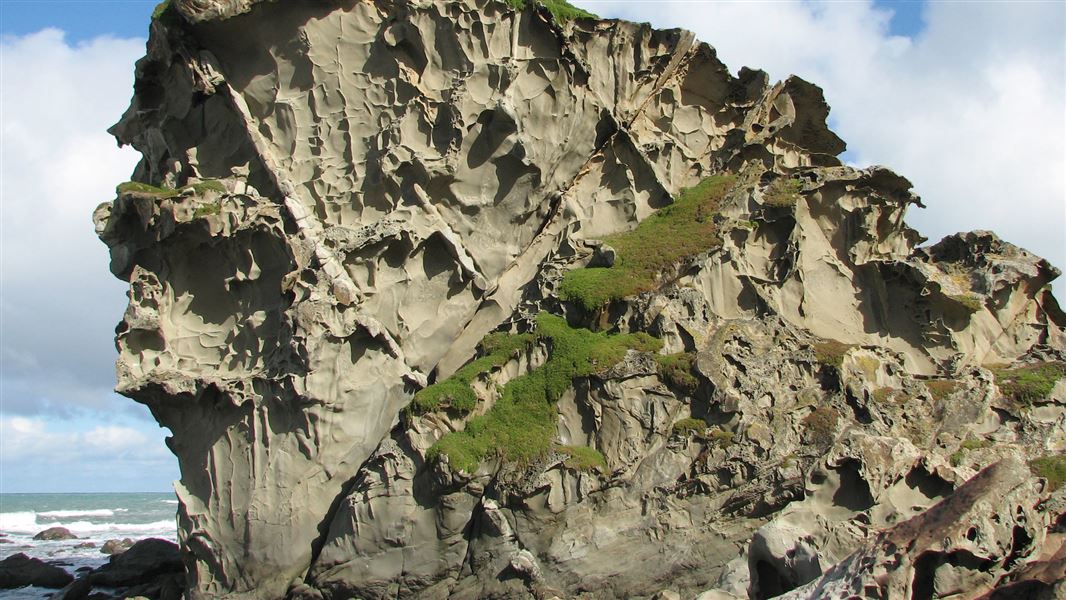 Honeycomb rock, Wairarapa. 
