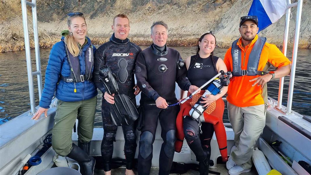 DOC marine team doing diver training. 