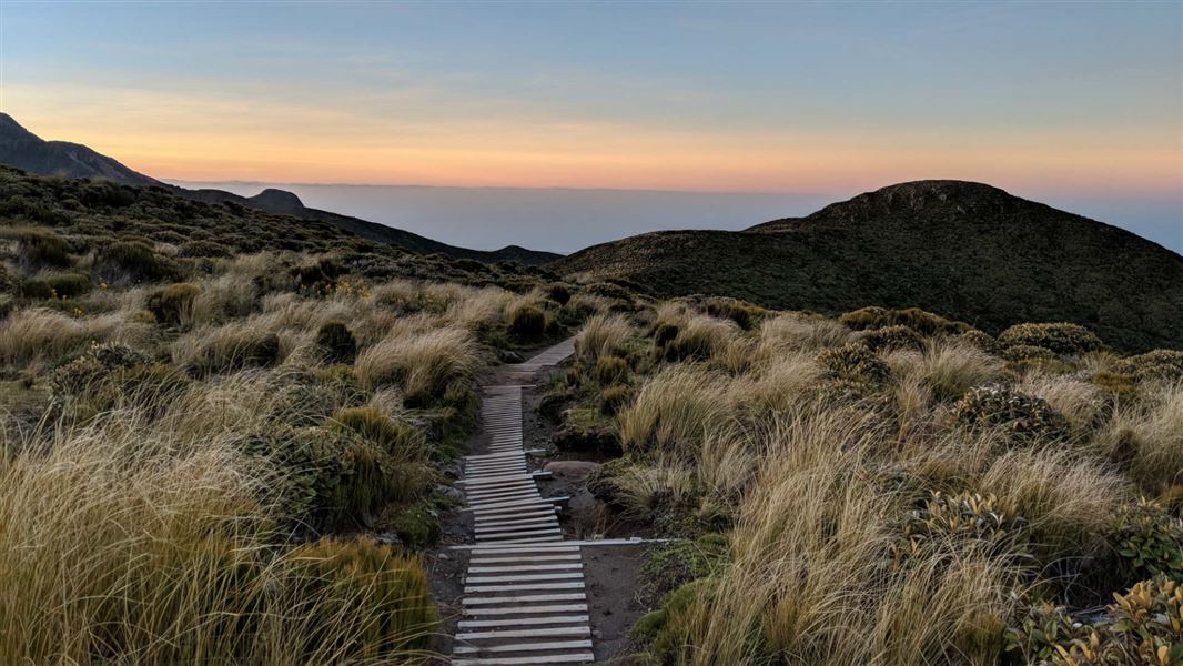 Pouākai range tramping tracks.