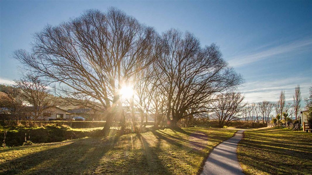 Path running along the grass beside a creek, with the sun low in the sky and behind trees at winter time.
