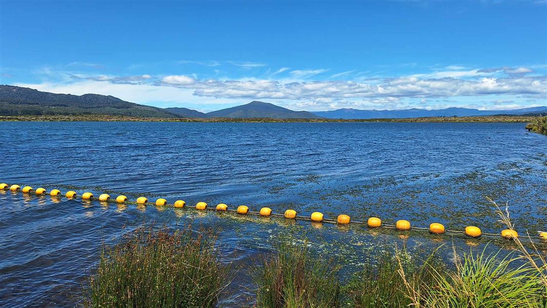 Summer at Lake Otamangakau