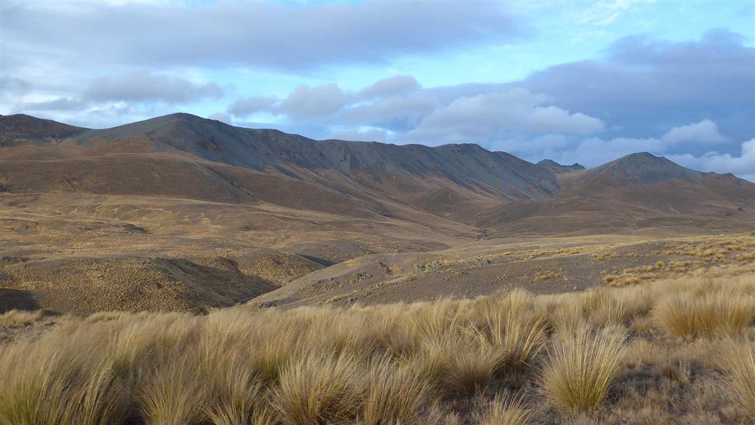 Hut Creek Hut 4WD Track.