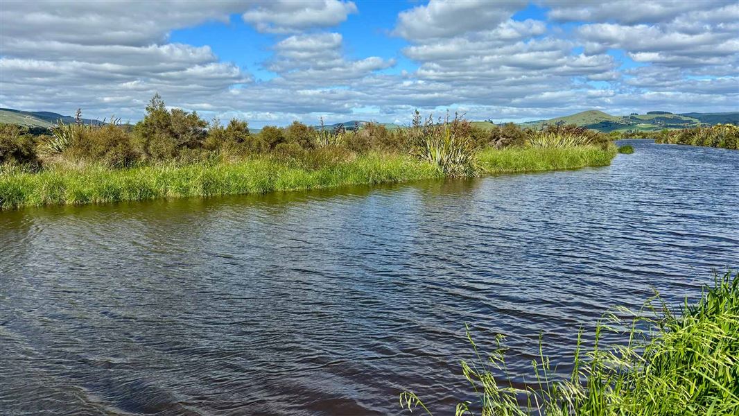 View from Titri Creek Track. 