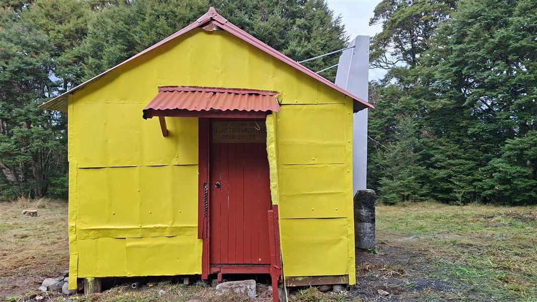 Front view of a small yellow hut with a red door and corrugated metal roof, standing in a forest clearing.
