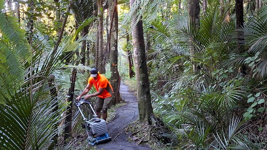 A DOC satff member in hi-vis orange clothing uses small machinery to shape a narrow track through native bush. 