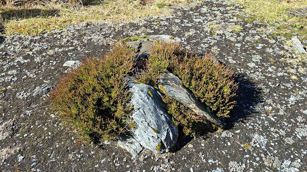 Heather at a remote landing site in South Westland. 