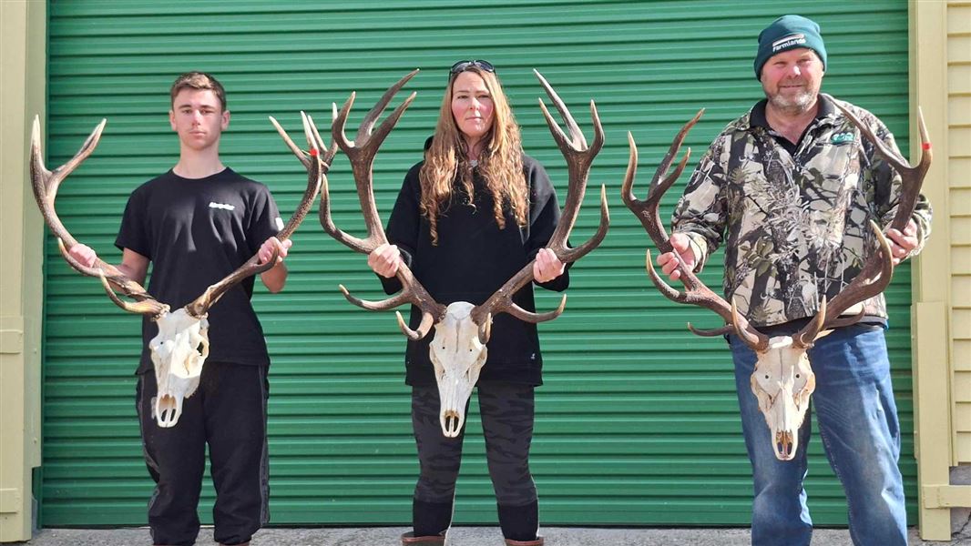 Deer category winners.