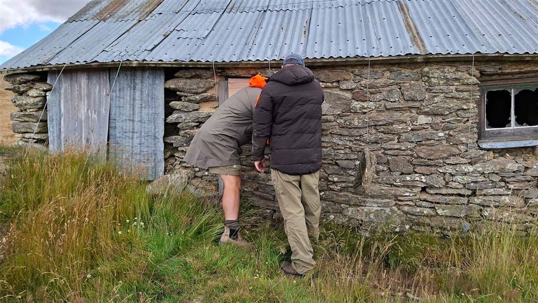 Two DOC staff board up windows in the historic building. 