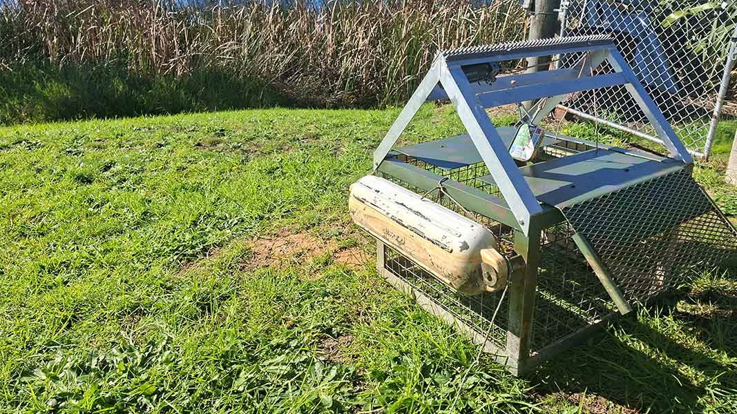 New purpose-built trap. 