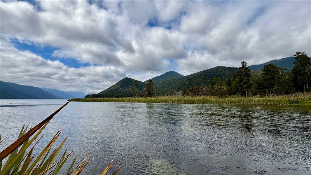 View from Flower Brothers Walk. 