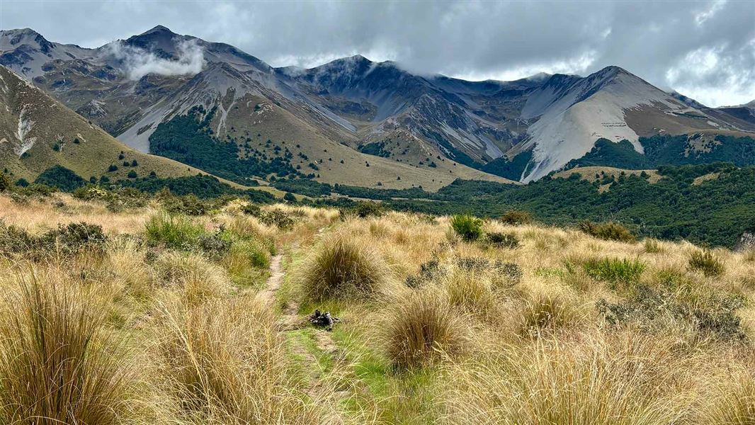 Hogs Back Track (Easy Up Track and Descent Track). 