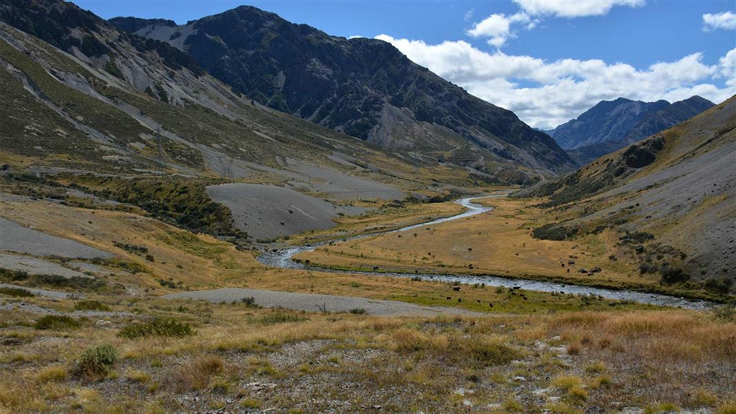  Rainbow Road Molesworth. 
