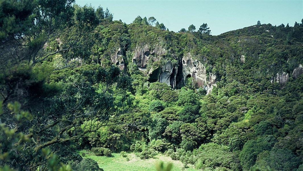 Whitianga Rock Walk Whitianga area, Coromandel region