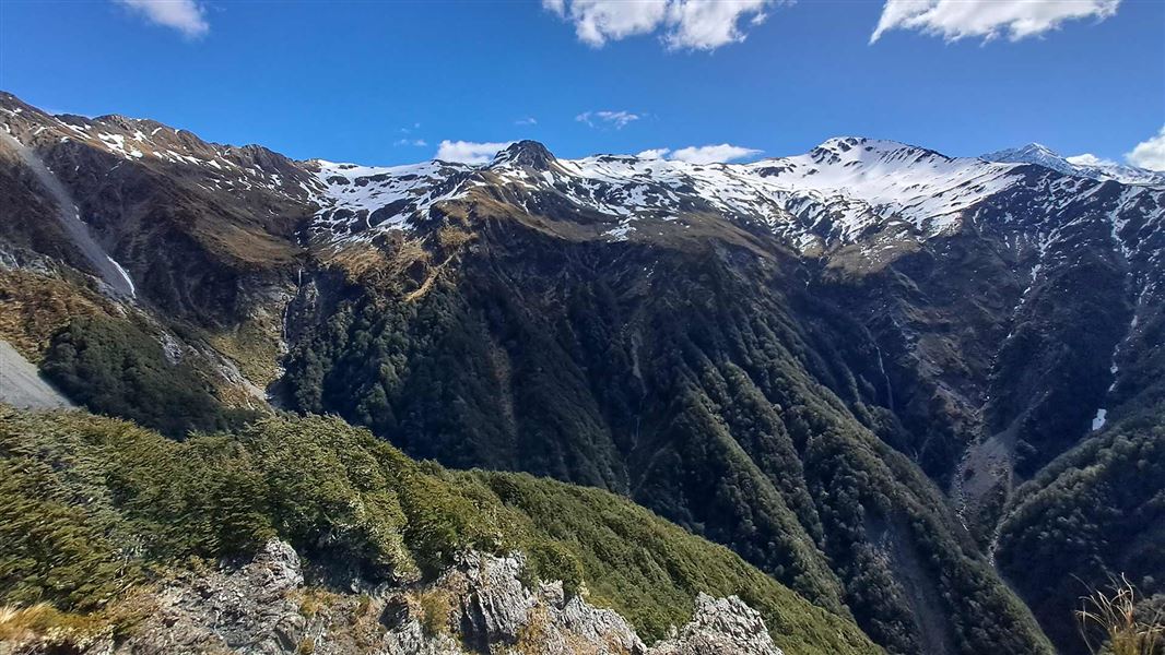 View from the end of the Mt Bealey Track, just above the bush line