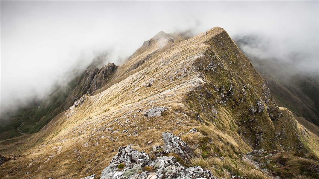 Between Mt Hector and Winchcombe Peak