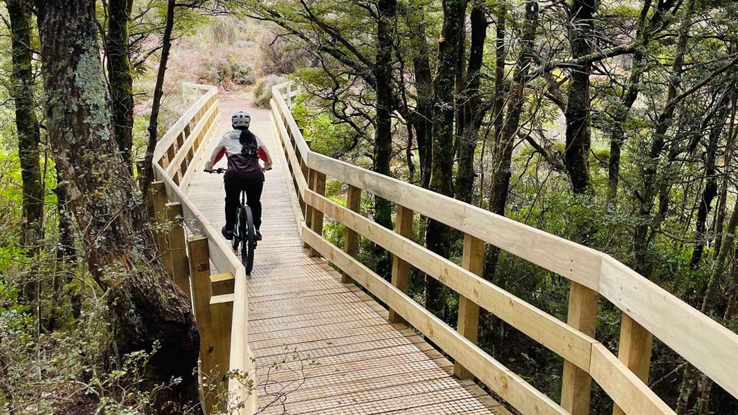 Cyclist on bridge amongst the trees