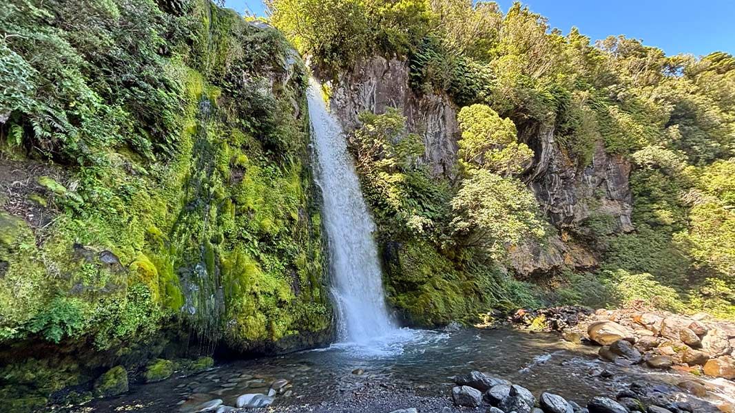  Dawson Falls/Te Rere o Noke on the Kapuni Loop Track. 