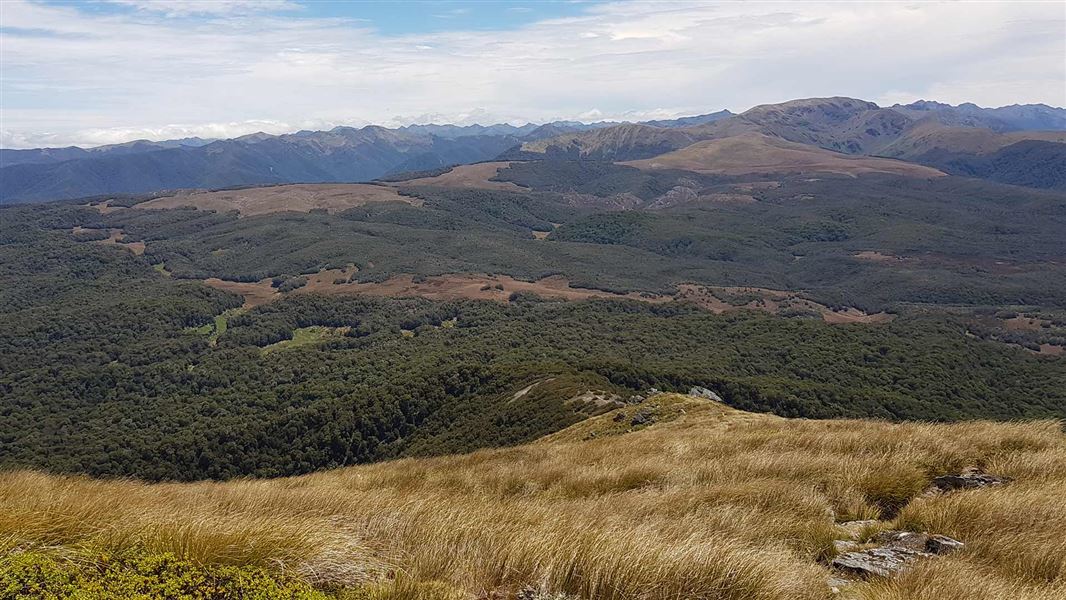 Cloustons Mine Track. 