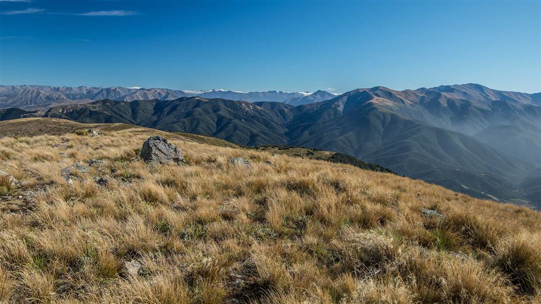 View from Mount Oxford. 
