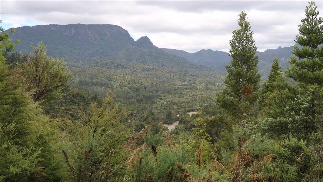 View from the lookout at Outlook 76 Walk, Kauaeranga Valley 