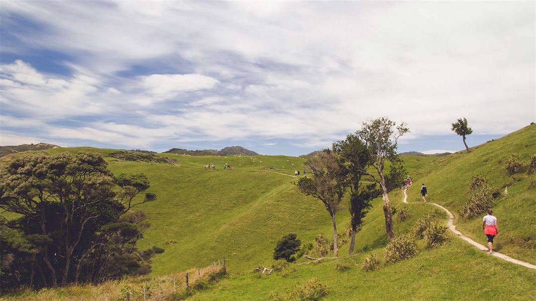 Visitors Pūponga Farm Park